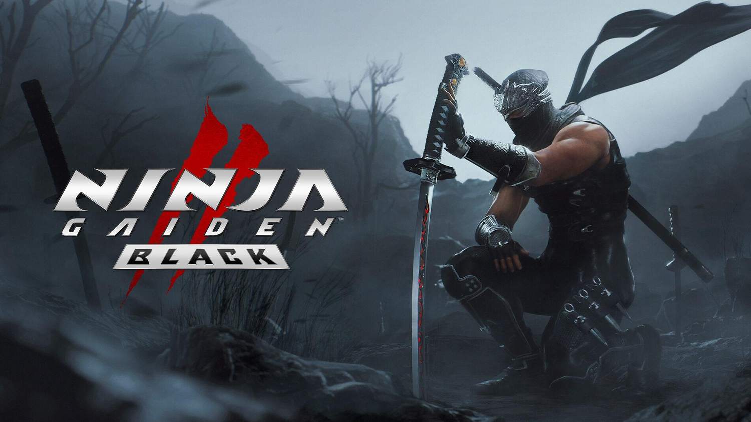 Ninja Gaiden 2 Black